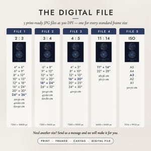 The Digital File option: five print-ready JPG files in 2:3, 3:4, 4:5, 11:14 and ISO ratios at 300 DPI