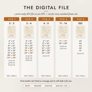 The Digital File option: five print-ready JPG files in 2:3, 3:4, 4:5, 11:14 and ISO ratios at 300 DPI