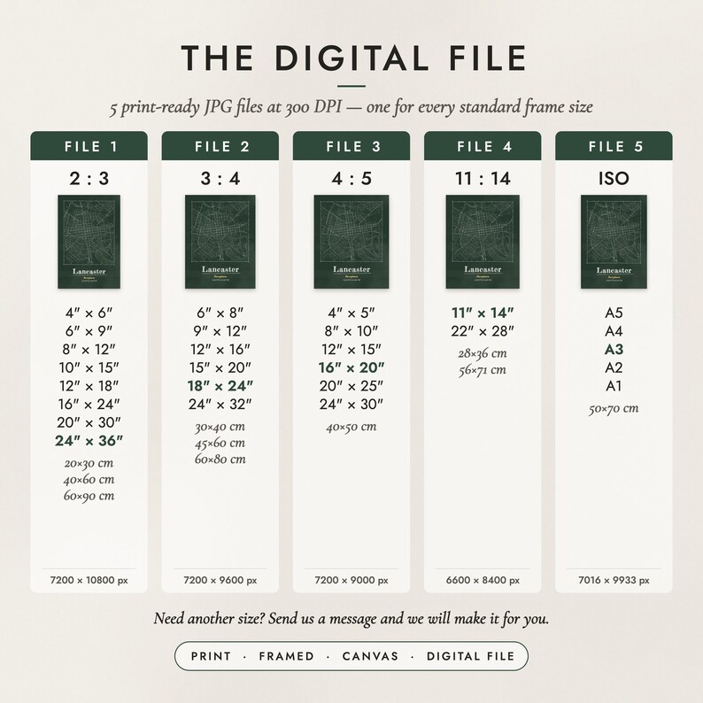 The Digital File option: five print-ready JPG files in 2:3, 3:4, 4:5, 11:14 and ISO ratios at 300 DPI