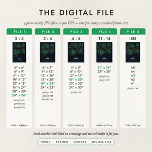 The Digital File option: five print-ready JPG files in 2:3, 3:4, 4:5, 11:14 and ISO ratios at 300 DPI