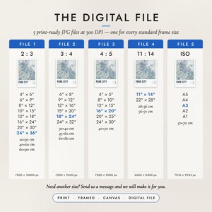 The Digital File option: five print-ready JPG files in 2:3, 3:4, 4:5, 11:14 and ISO ratios at 300 DPI