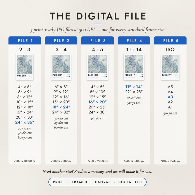 The Digital File option: five print-ready JPG files in 2:3, 3:4, 4:5, 11:14 and ISO ratios at 300 DPI