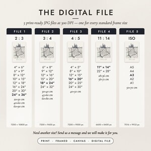 The Digital File option: five print-ready JPG files in 2:3, 3:4, 4:5, 11:14 and ISO ratios at 300 DPI