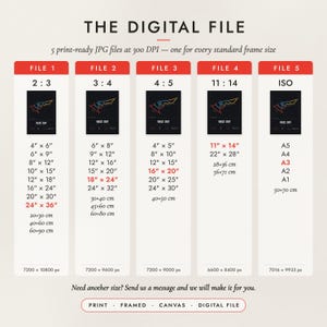 The Digital File option: five print-ready JPG files in 2:3, 3:4, 4:5, 11:14 and ISO ratios at 300 DPI