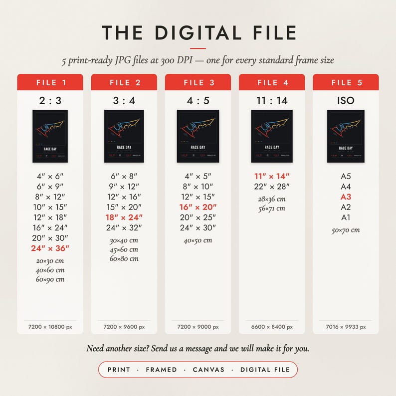 The Digital File option: five print-ready JPG files in 2:3, 3:4, 4:5, 11:14 and ISO ratios at 300 DPI