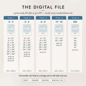 The Digital File option: five print-ready JPG files in 2:3, 3:4, 4:5, 11:14 and ISO ratios at 300 DPI