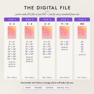 The Digital File option: five print-ready JPG files in 2:3, 3:4, 4:5, 11:14 and ISO ratios at 300 DPI