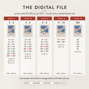 The Digital File option: five print-ready JPG files in 2:3, 3:4, 4:5, 11:14 and ISO ratios at 300 DPI