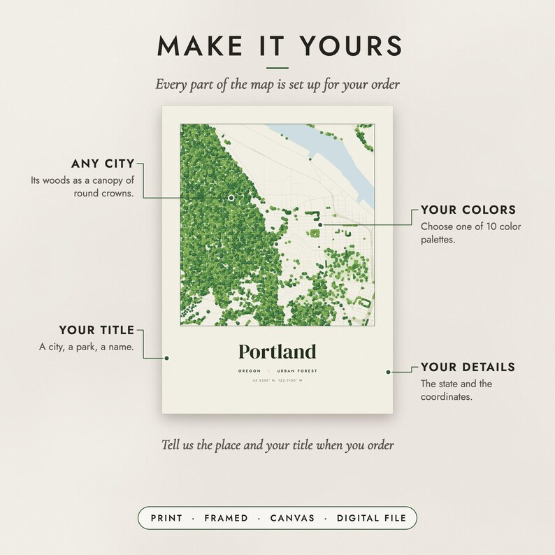 Diagram of what you can personalize: location, colors, title and details