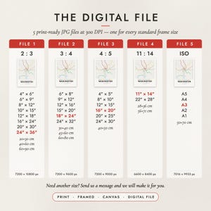 The Digital File option: five print-ready JPG files in 2:3, 3:4, 4:5, 11:14 and ISO ratios at 300 DPI