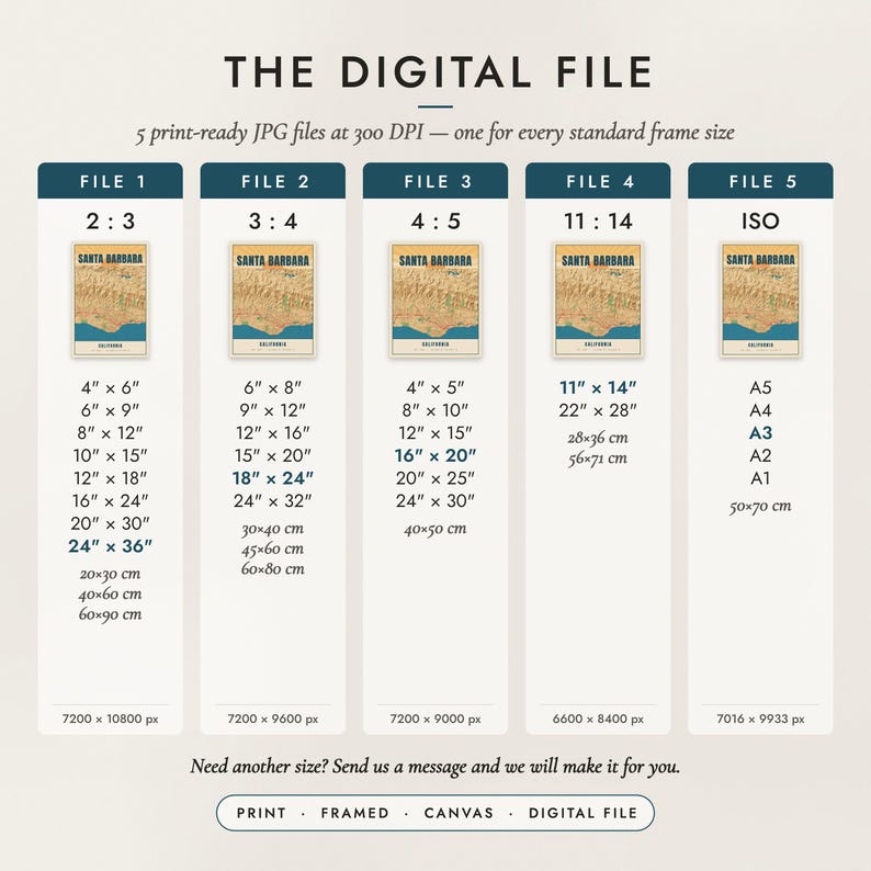 The Digital File option: five print-ready JPG files in 2:3, 3:4, 4:5, 11:14 and ISO ratios at 300 DPI