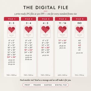 The Digital File option: five print-ready JPG files in 2:3, 3:4, 4:5, 11:14 and ISO ratios at 300 DPI