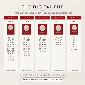 The Digital File option: five print-ready JPG files in 2:3, 3:4, 4:5, 11:14 and ISO ratios at 300 DPI