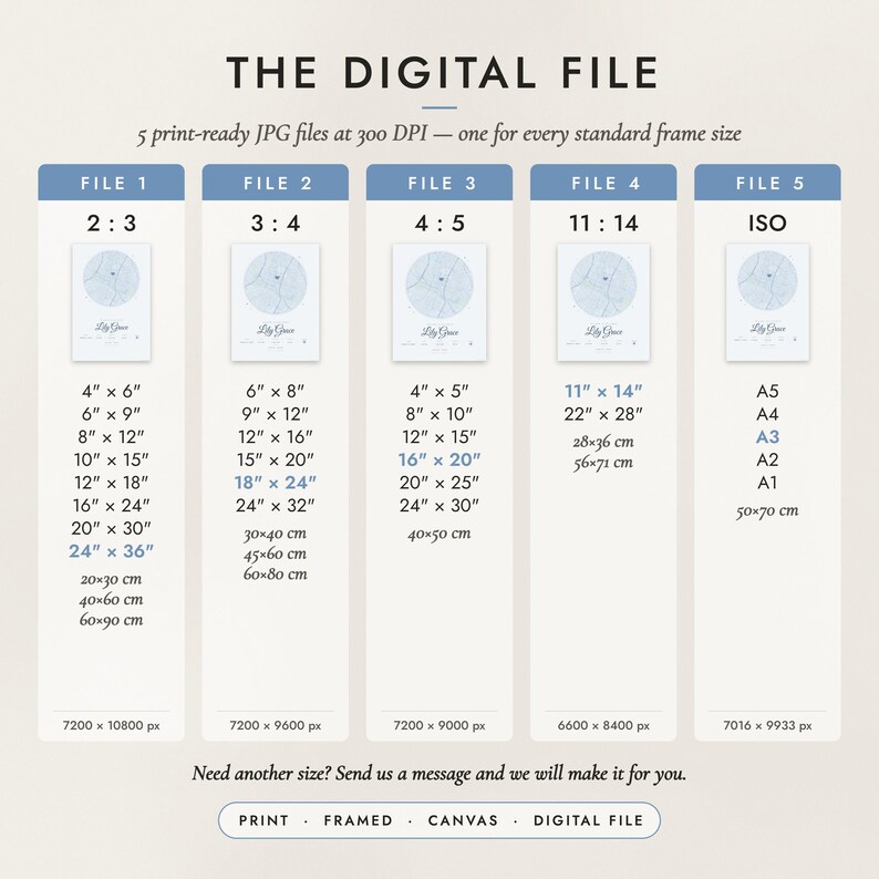 The Digital File option: five print-ready JPG files in 2:3, 3:4, 4:5, 11:14 and ISO ratios at 300 DPI