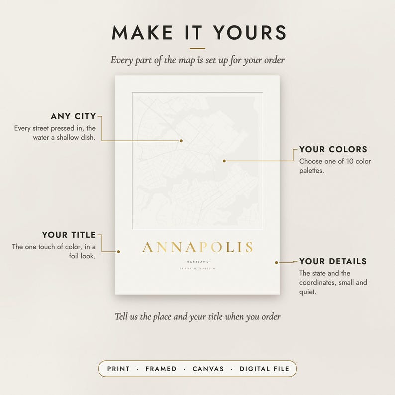 Diagram of what you can personalize: location, colors, title and details