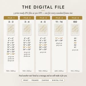 The Digital File option: five print-ready JPG files in 2:3, 3:4, 4:5, 11:14 and ISO ratios at 300 DPI