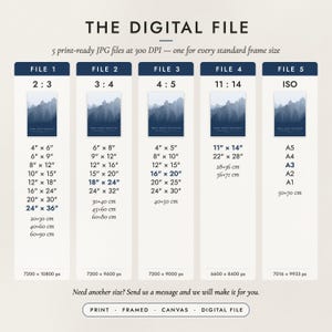 The Digital File option: five print-ready JPG files in 2:3, 3:4, 4:5, 11:14 and ISO ratios at 300 DPI