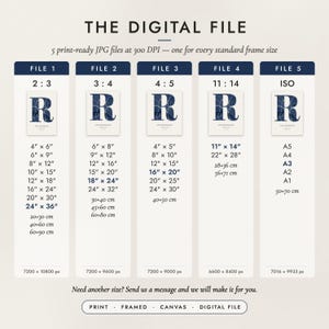 The Digital File option: five print-ready JPG files in 2:3, 3:4, 4:5, 11:14 and ISO ratios at 300 DPI