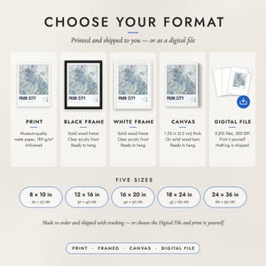The formats to choose from: matte paper print, black frame, white frame, canvas and the digital file, with the five sizes