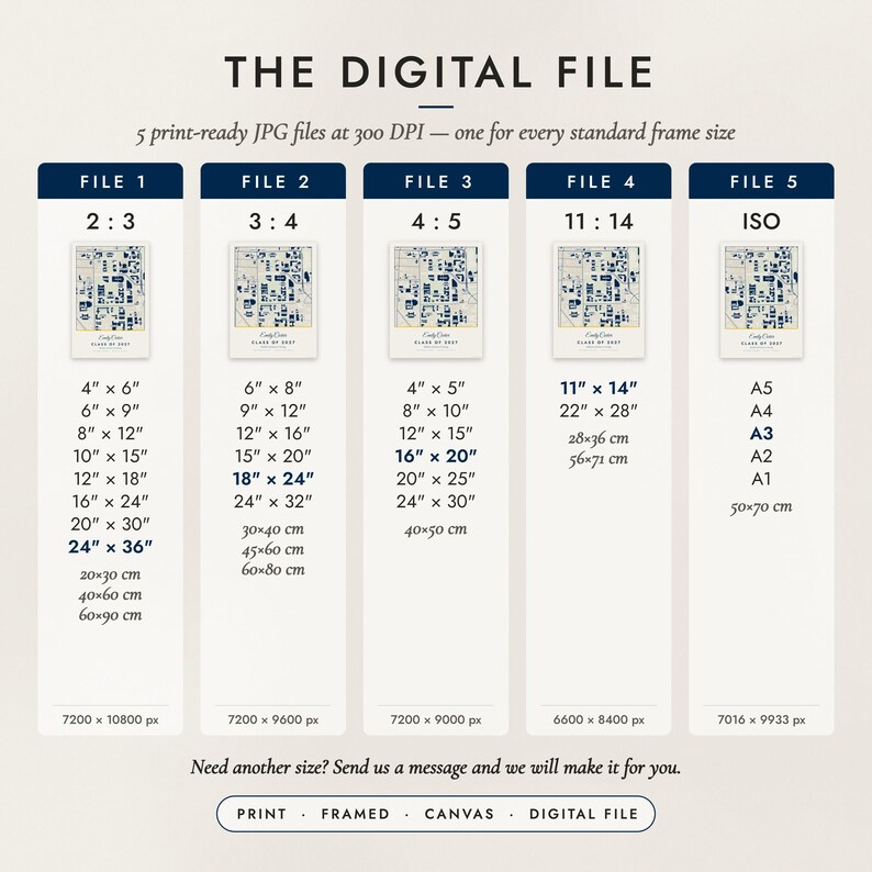 The Digital File option: five print-ready JPG files in 2:3, 3:4, 4:5, 11:14 and ISO ratios at 300 DPI