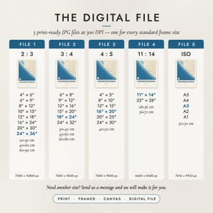 The Digital File option: five print-ready JPG files in 2:3, 3:4, 4:5, 11:14 and ISO ratios at 300 DPI
