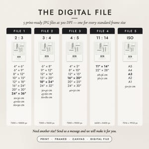 The Digital File option: five print-ready JPG files in 2:3, 3:4, 4:5, 11:14 and ISO ratios at 300 DPI