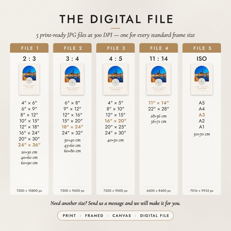 The Digital File option: five print-ready JPG files in 2:3, 3:4, 4:5, 11:14 and ISO ratios at 300 DPI