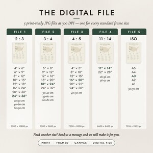 The Digital File option: five print-ready JPG files in 2:3, 3:4, 4:5, 11:14 and ISO ratios at 300 DPI