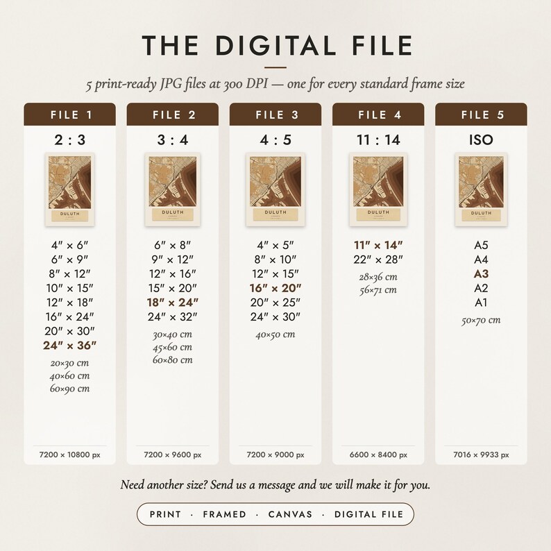 The Digital File option: five print-ready JPG files in 2:3, 3:4, 4:5, 11:14 and ISO ratios at 300 DPI