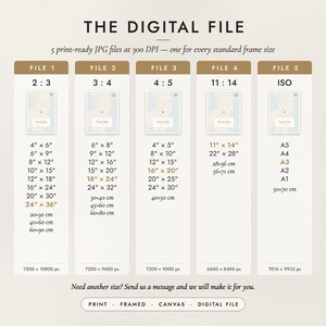 The Digital File option: five print-ready JPG files in 2:3, 3:4, 4:5, 11:14 and ISO ratios at 300 DPI
