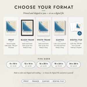 The formats to choose from: matte paper print, black frame, white frame, canvas and the digital file, with the five sizes