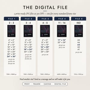 The Digital File option: five print-ready JPG files in 2:3, 3:4, 4:5, 11:14 and ISO ratios at 300 DPI