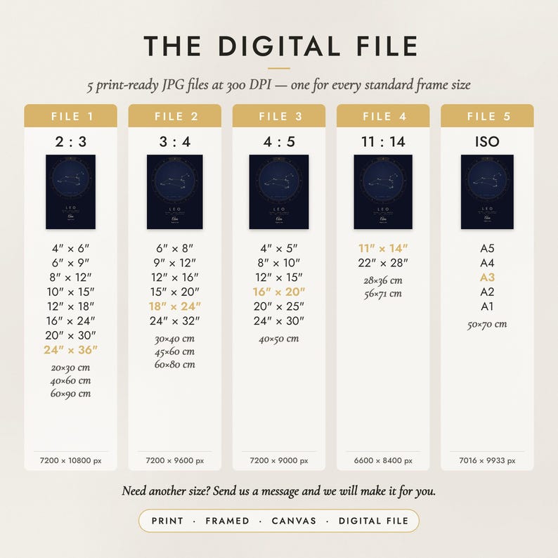 The Digital File option: five print-ready JPG files in 2:3, 3:4, 4:5, 11:14 and ISO ratios at 300 DPI