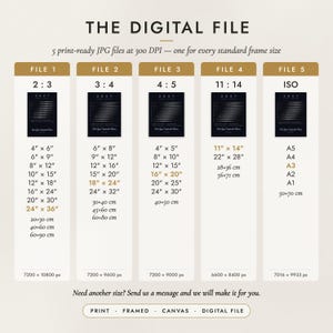 The Digital File option: five print-ready JPG files in 2:3, 3:4, 4:5, 11:14 and ISO ratios at 300 DPI