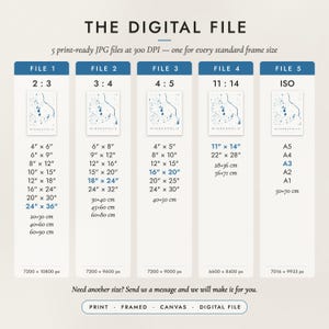 The Digital File option: five print-ready JPG files in 2:3, 3:4, 4:5, 11:14 and ISO ratios at 300 DPI