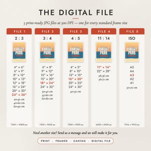 The Digital File option: five print-ready JPG files in 2:3, 3:4, 4:5, 11:14 and ISO ratios at 300 DPI