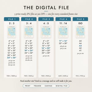 The Digital File option: five print-ready JPG files in 2:3, 3:4, 4:5, 11:14 and ISO ratios at 300 DPI
