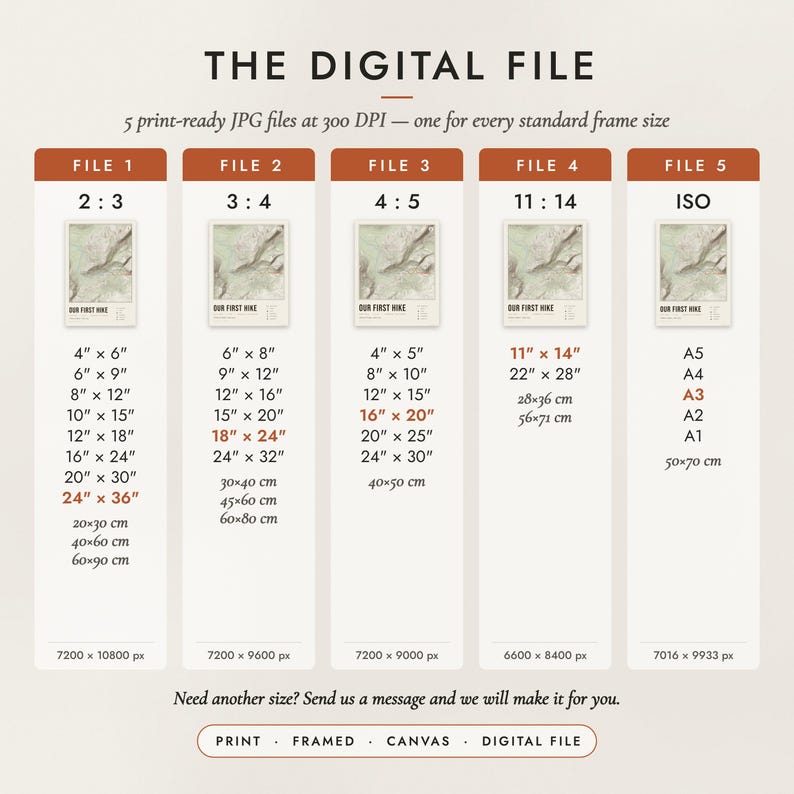 The Digital File option: five print-ready JPG files in 2:3, 3:4, 4:5, 11:14 and ISO ratios at 300 DPI