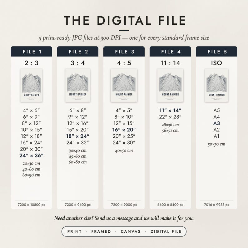 The Digital File option: five print-ready JPG files in 2:3, 3:4, 4:5, 11:14 and ISO ratios at 300 DPI