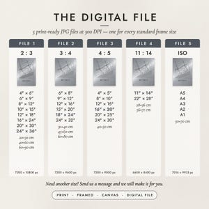The Digital File option: five print-ready JPG files in 2:3, 3:4, 4:5, 11:14 and ISO ratios at 300 DPI