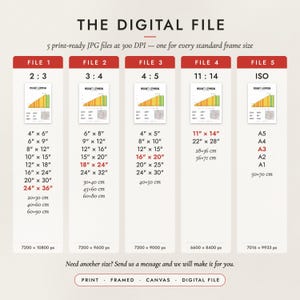 The Digital File option: five print-ready JPG files in 2:3, 3:4, 4:5, 11:14 and ISO ratios at 300 DPI