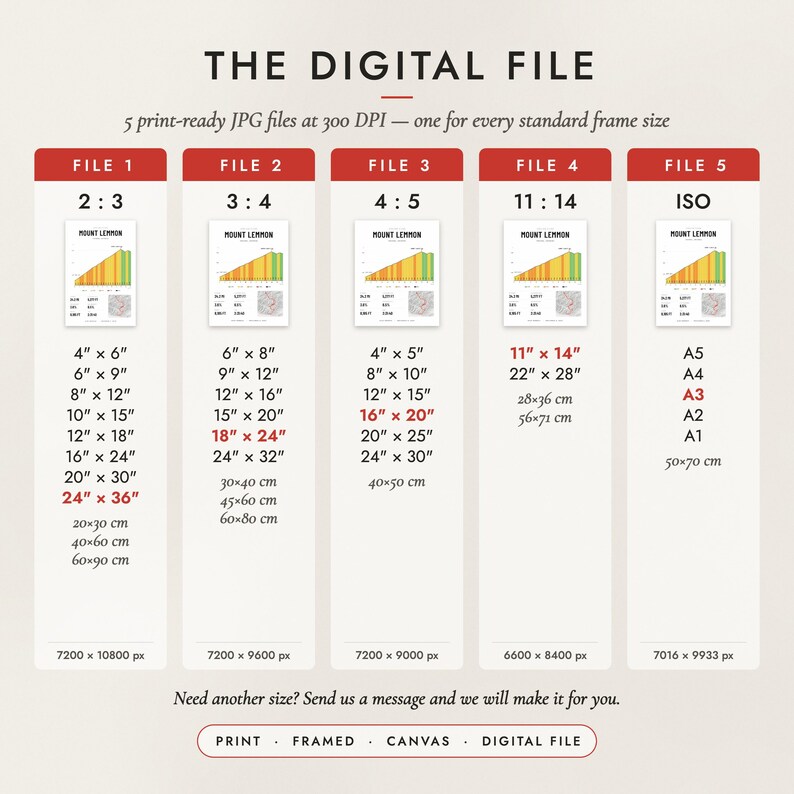 The Digital File option: five print-ready JPG files in 2:3, 3:4, 4:5, 11:14 and ISO ratios at 300 DPI