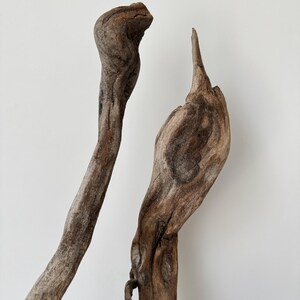 May include: Two pieces of weathered driftwood with natural brown tones and textured surfaces. The left piece is elongated and curved, while the right piece features a wider, knotty structure with a pointed top, showcasing organic wood grain.