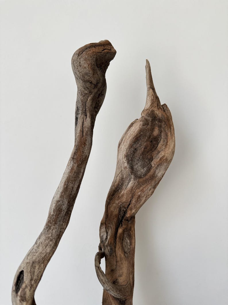 May include: Two pieces of weathered driftwood with natural brown tones and textured surfaces. The left piece is elongated and curved, while the right piece features a wider, knotty structure with a pointed top, showcasing organic wood grain.