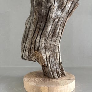 May include: A piece of weathered, grey driftwood with deep vertical grooves and a rough, textured surface, mounted vertically onto a smooth, light-colored circular wooden base that shows natural grain patterns and a small crack on the side.