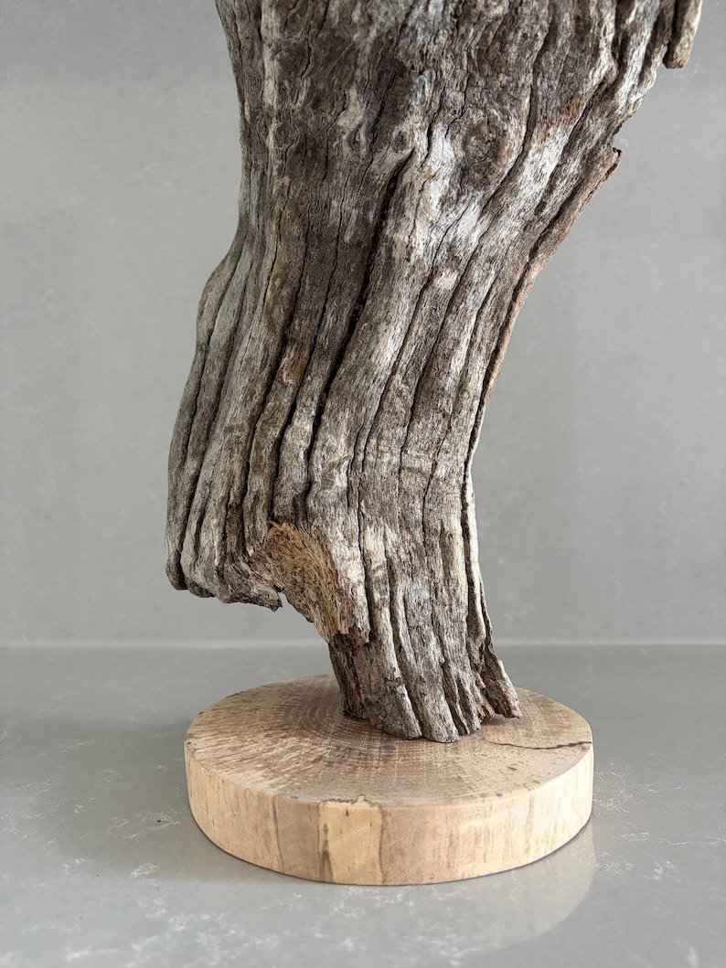 May include: A piece of weathered, grey driftwood with deep vertical grooves and a rough, textured surface, mounted vertically onto a smooth, light-colored circular wooden base that shows natural grain patterns and a small crack on the side.