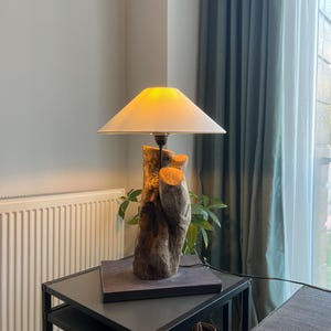Driftwood Lamp | Wooden Lampshade