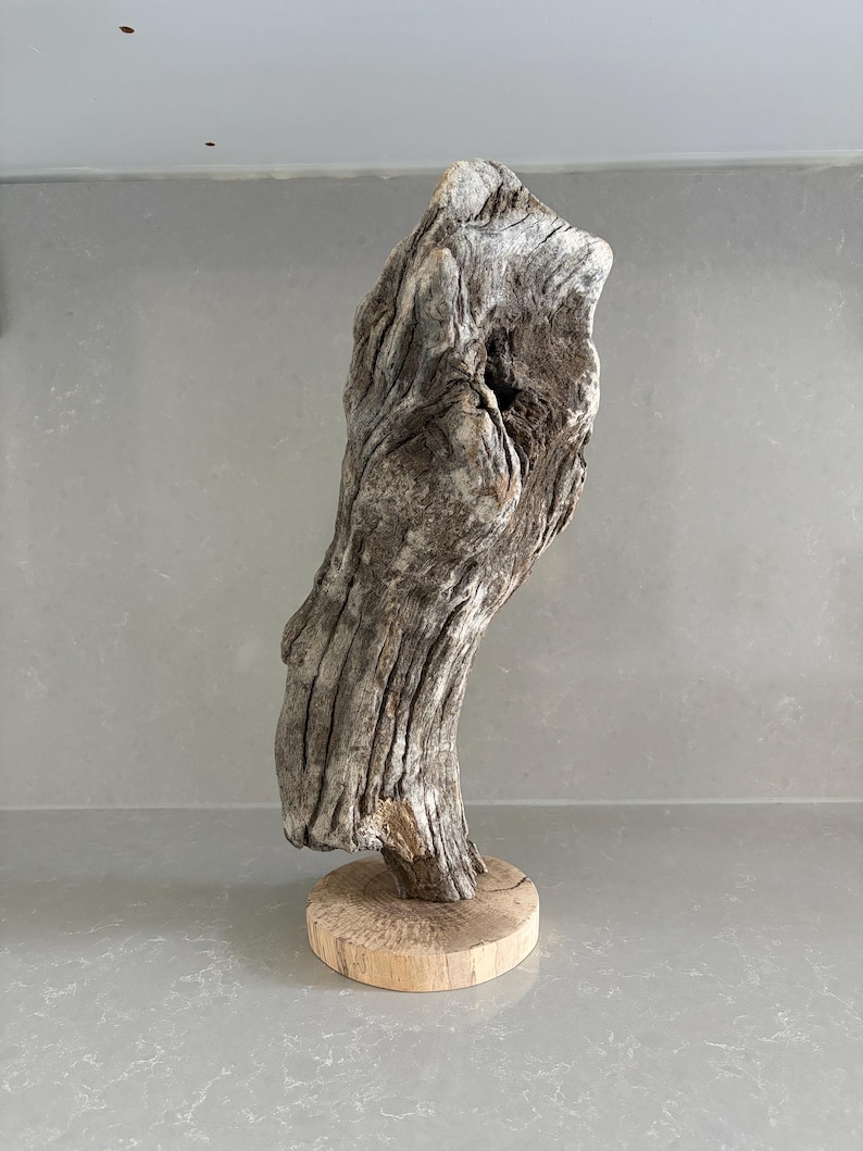 May include: A piece of weathered, grey driftwood with a textured, gnarled surface and a natural hole near the top, mounted vertically on a smooth, circular, light-colored wooden base. The wood shows deep grooves and organic, irregular contours.