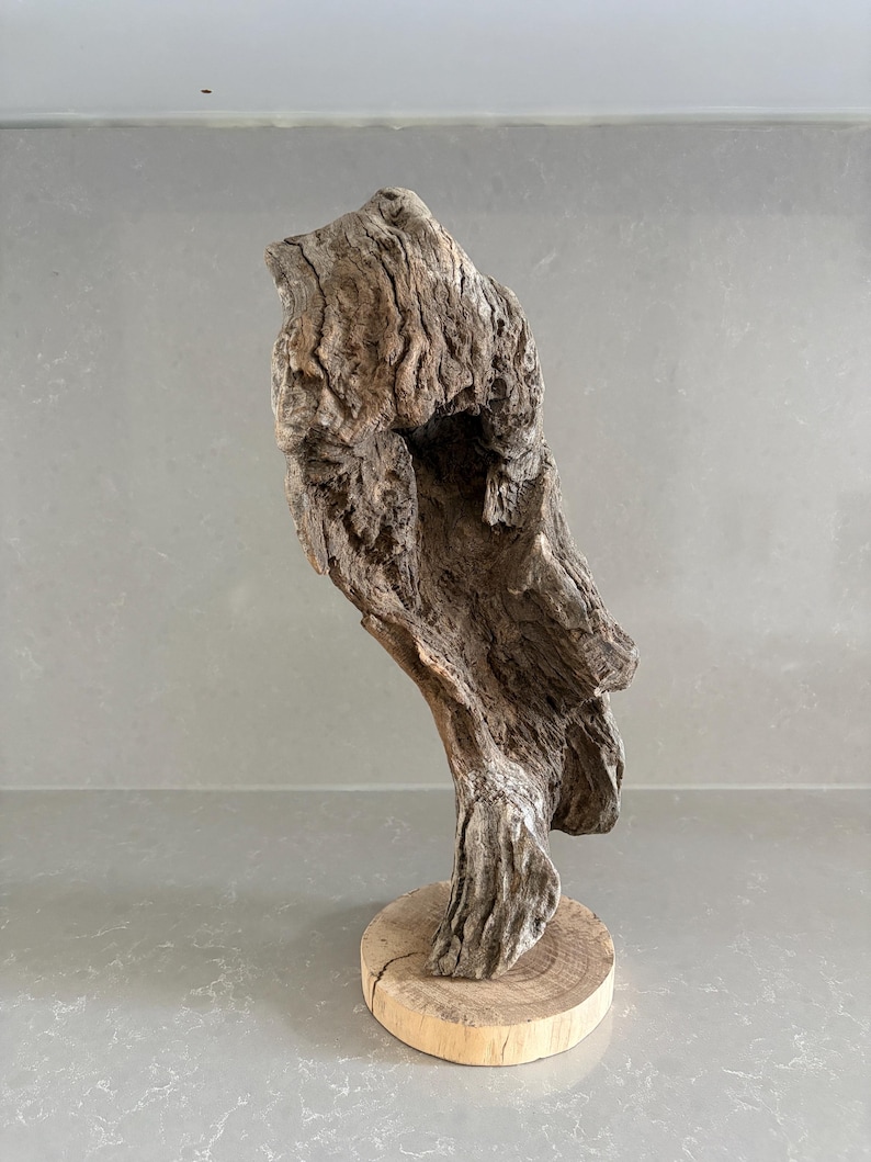 May include: A piece of weathered, textured driftwood sculpture mounted vertically on a circular, light-colored wooden base. The wood features deep grooves, natural cracks, and a gray-brown color, showcasing an organic, irregular, and hollowed-out form.