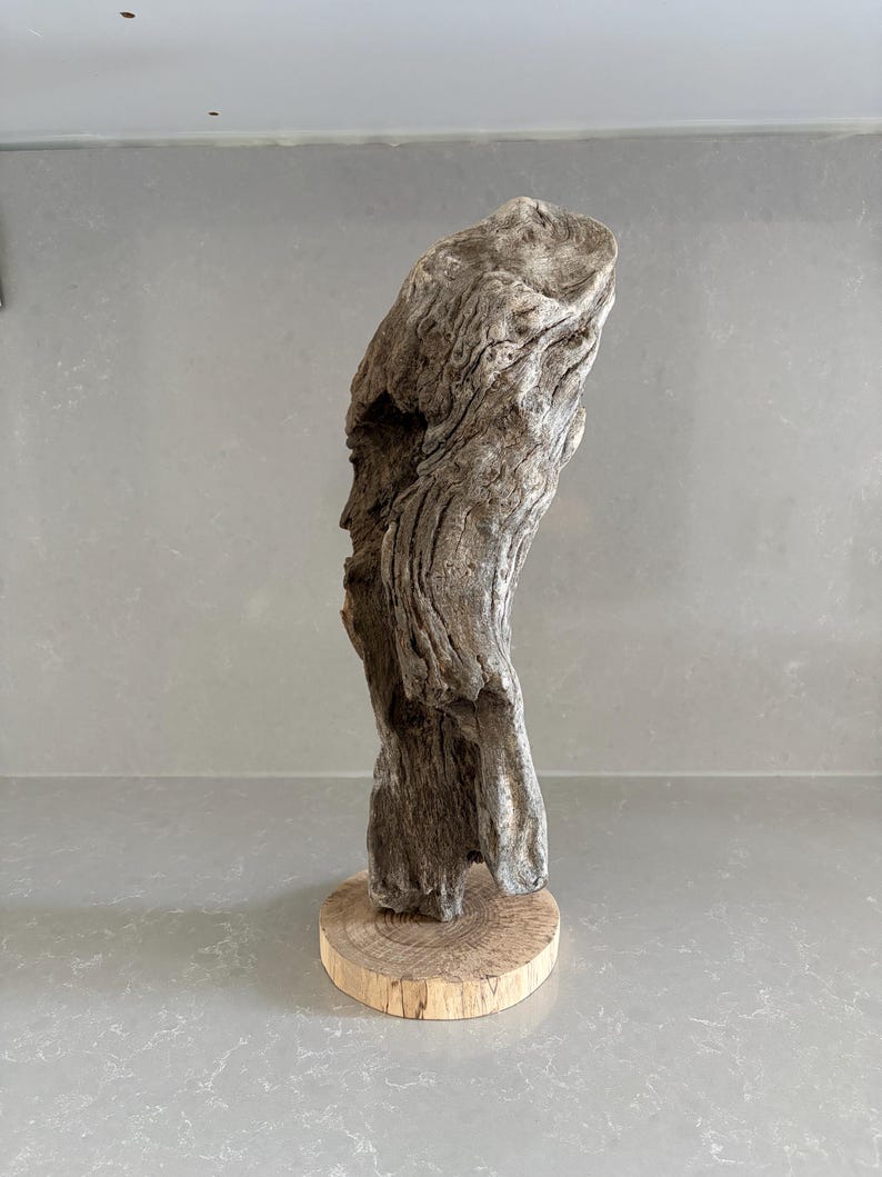 May include: A piece of weathered, grey driftwood with a textured, gnarled surface standing vertically. The wood is securely mounted onto a circular, light-colored wooden base that shows visible grain patterns and a smooth, flat top surface.
